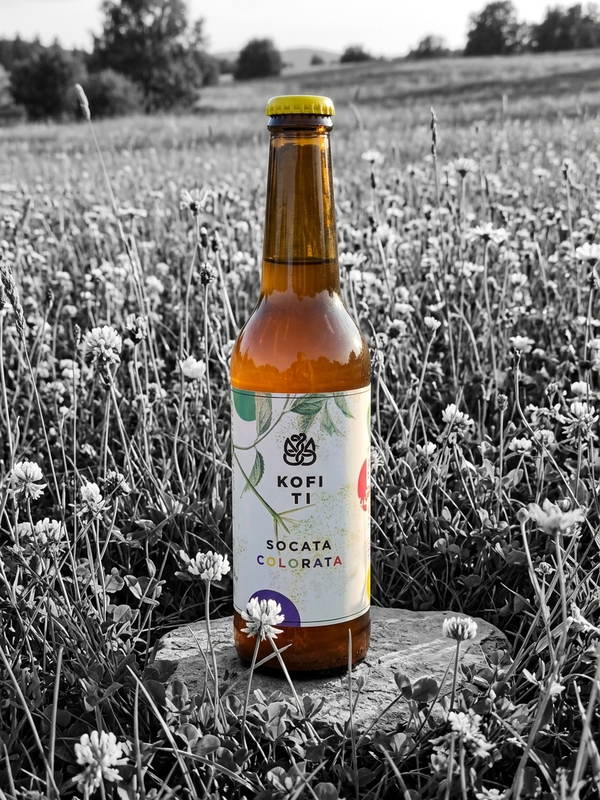 [NOU] Socata colorata