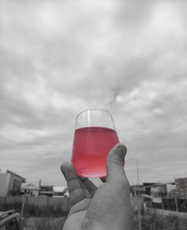 [NOU] Socata colorata