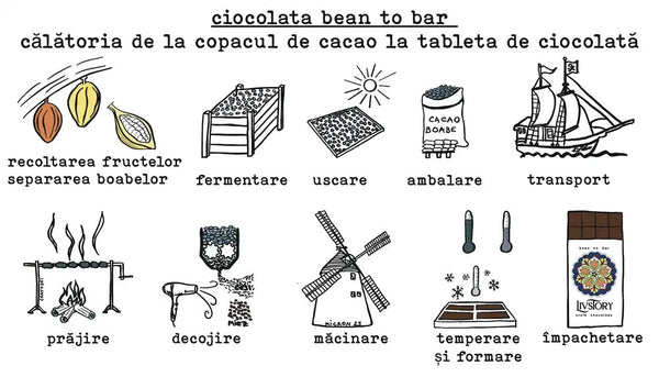 Ciocolată Albă cu dovleac și scorțișoară