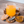 Load image into Gallery viewer, Seaberry [IMMUNITY honey syrup, now with a new name] 
